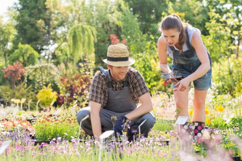 Illustration showing accessibility support for local gardening users