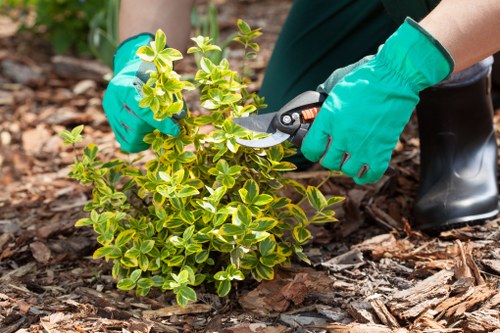 Garden maintenance and lawn trimming in Blackfriars