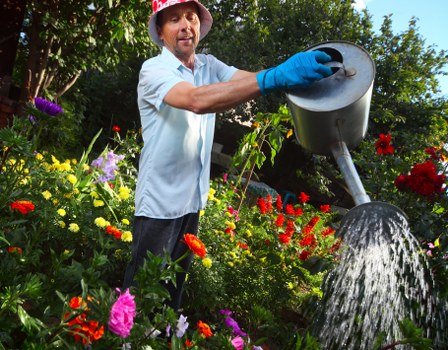 Seasonal lawn treatment for a Blackfriars garden