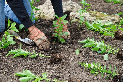 Gardeners Blackfriars completing a careful and professional garden service