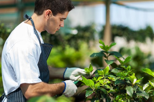Supplier audit and due diligence for Blackfriars gardening services