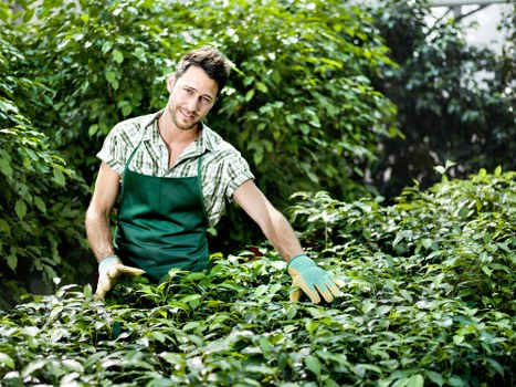Reusable garden materials prepared for charity donation