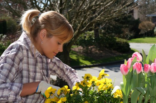 Blackfriars gardeners maintaining seasonal plants and containers