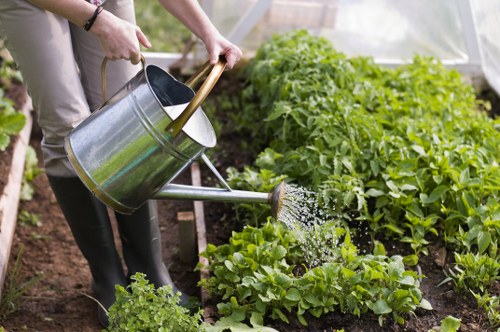 Green waste removal and garden care compliance for a Blackfriars service