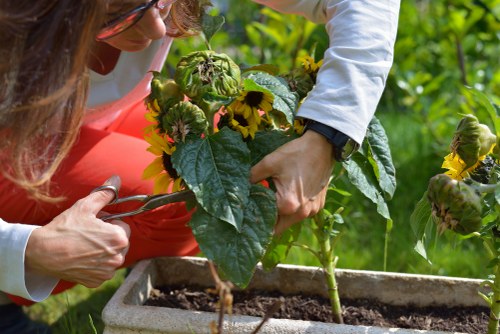 Weed control and lawn repair for Blackfriars properties